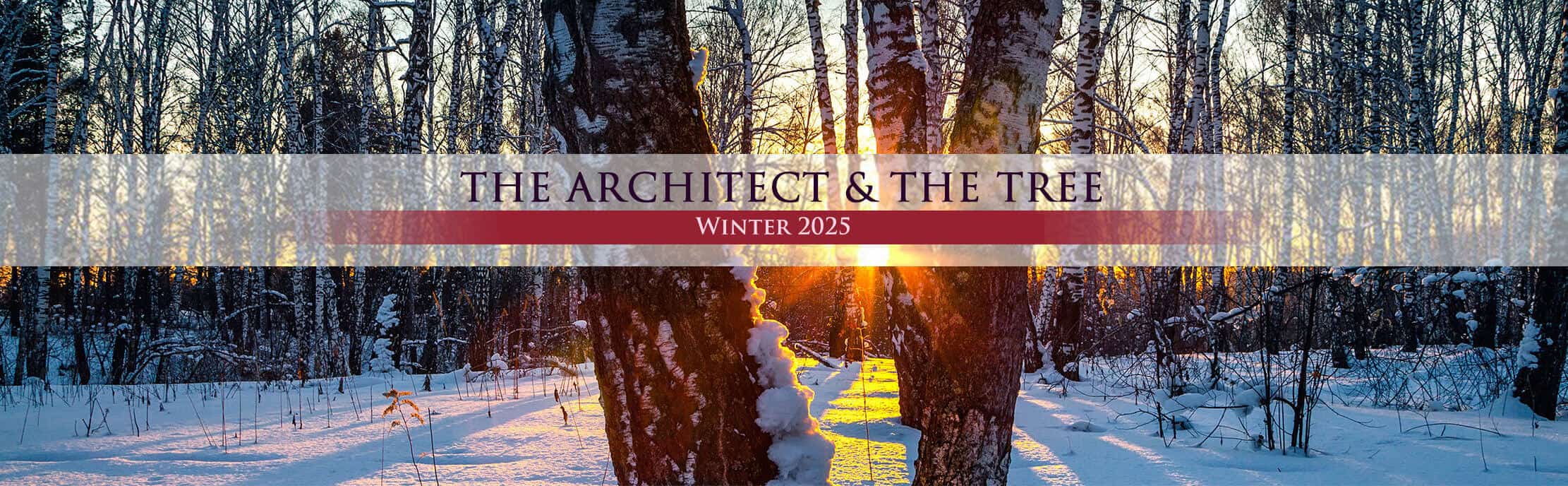 The Architect & the Tree Banner