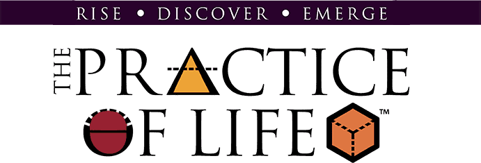 The Practice of Life logo